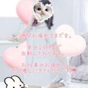 ヒメ日記 2025/06/27 18:06 投稿 美月 あおば睾丸診療所