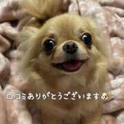 ヒメ日記 2025/08/05 17:16 投稿 美月 あおば睾丸診療所