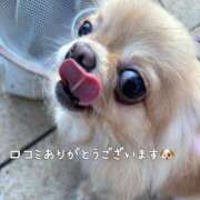 ヒメ日記 2025/08/05 17:28 投稿 美月 あおば睾丸診療所