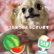 ヒメ日記 2025/08/29 09:26 投稿 美月 あおば睾丸診療所