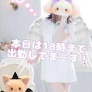 ヒメ日記 2025/10/19 11:46 投稿 美月 あおば睾丸診療所