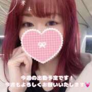 ヒメ日記 2025/11/17 12:36 投稿 美月 あおば睾丸診療所