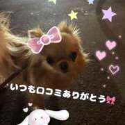 ヒメ日記 2025/11/18 20:46 投稿 美月 あおば睾丸診療所