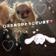 ヒメ日記 2025/11/18 21:01 投稿 美月 あおば睾丸診療所