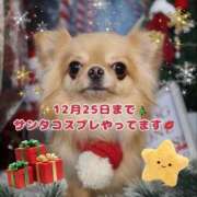 ヒメ日記 2025/12/10 06:46 投稿 美月 あおば睾丸診療所