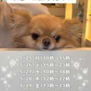 ヒメ日記 2026/05/25 12:06 投稿 美月 あおば睾丸診療所