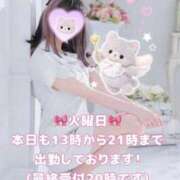 ヒメ日記 2026/06/02 14:16 投稿 美月 あおば睾丸診療所