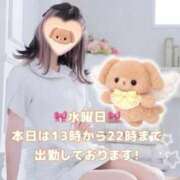 ヒメ日記 2026/07/08 14:03 投稿 美月 あおば睾丸診療所
