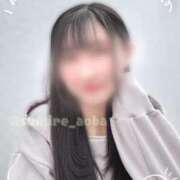 ヒメ日記 2025/05/09 12:12 投稿 すみれ あおば睾丸診療所