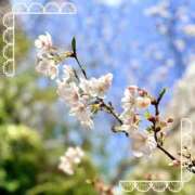 ヒメ日記 2026/03/31 17:46 投稿 すみれ あおば睾丸診療所