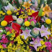 ヒメ日記 2024/12/30 10:18 投稿 あかり あおば睾丸診療所