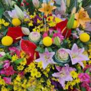 ヒメ日記 2025/12/30 09:46 投稿 あかり あおば睾丸診療所