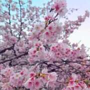 ヒメ日記 2026/03/05 10:06 投稿 あかり あおば睾丸診療所