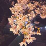 ヒメ日記 2026/04/02 10:06 投稿 あかり あおば睾丸診療所