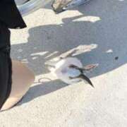 ヒメ日記 2025/05/23 07:00 投稿 みつは DIVA-ディーバ-【DIVAグループ】