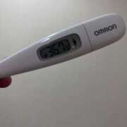 ヒメ日記 2025/01/03 10:17 投稿 マナ(奥方) 奥様幕府