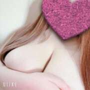 ヒメ日記 2025/01/04 09:07 投稿 マナ(奥方) 奥様幕府