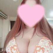 ヒメ日記 2025/01/05 09:57 投稿 マナ(奥方) 奥様幕府