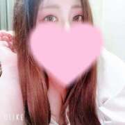 ヒメ日記 2025/04/27 02:32 投稿 マナ(奥方) 奥様幕府