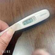 ヒメ日記 2025/04/28 09:37 投稿 マナ(奥方) 奥様幕府