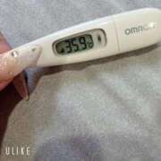 ヒメ日記 2025/04/29 09:06 投稿 マナ(奥方) 奥様幕府