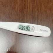 ヒメ日記 2025/05/06 07:17 投稿 マナ(奥方) 奥様幕府