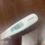 ヒメ日記 2025/05/10 09:27 投稿 マナ(奥方) 奥様幕府