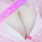 ヒメ日記 2025/05/10 21:27 投稿 マナ(奥方) 奥様幕府