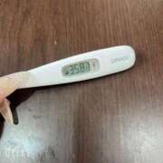 ヒメ日記 2025/05/11 09:47 投稿 マナ(奥方) 奥様幕府