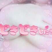 ヒメ日記 2025/05/12 01:07 投稿 マナ(奥方) 奥様幕府