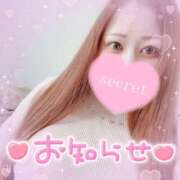 ヒメ日記 2025/05/13 15:37 投稿 マナ(奥方) 奥様幕府