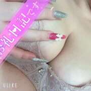 ヒメ日記 2025/06/08 13:37 投稿 マナ(奥方) 奥様幕府