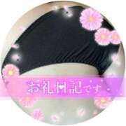 ヒメ日記 2025/06/15 04:47 投稿 マナ(奥方) 奥様幕府