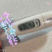 ヒメ日記 2025/06/16 09:27 投稿 マナ(奥方) 奥様幕府