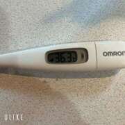 ヒメ日記 2025/06/18 09:17 投稿 マナ(奥方) 奥様幕府