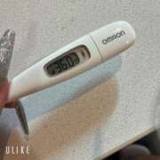 ヒメ日記 2025/06/20 08:27 投稿 マナ(奥方) 奥様幕府