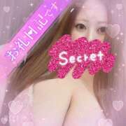 ヒメ日記 2025/06/21 06:30 投稿 マナ(奥方) 奥様幕府