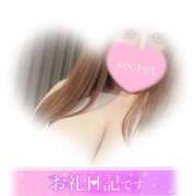 ヒメ日記 2025/06/21 06:52 投稿 マナ(奥方) 奥様幕府