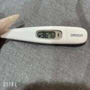 ヒメ日記 2025/12/27 09:37 投稿 マナ(奥方) 奥様幕府