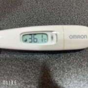 ヒメ日記 2025/12/28 09:57 投稿 マナ(奥方) 奥様幕府