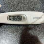 ヒメ日記 2025/12/29 09:57 投稿 マナ(奥方) 奥様幕府