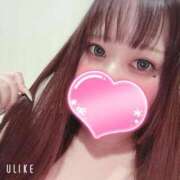 ヒメ日記 2025/12/29 11:27 投稿 マナ(奥方) 奥様幕府