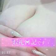 ヒメ日記 2025/12/31 05:17 投稿 マナ(奥方) 奥様幕府