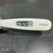 ヒメ日記 2026/01/02 10:07 投稿 マナ(奥方) 奥様幕府