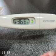 ヒメ日記 2026/01/06 09:27 投稿 マナ(奥方) 奥様幕府