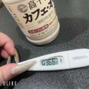 ヒメ日記 2026/01/07 08:37 投稿 マナ(奥方) 奥様幕府