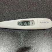 ヒメ日記 2026/01/10 09:17 投稿 マナ(奥方) 奥様幕府