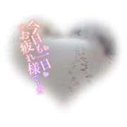 ヒメ日記 2026/01/12 04:47 投稿 マナ(奥方) 奥様幕府