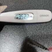 ヒメ日記 2026/01/15 09:27 投稿 マナ(奥方) 奥様幕府