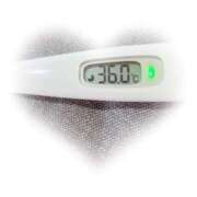 ヒメ日記 2026/01/18 09:17 投稿 マナ(奥方) 奥様幕府